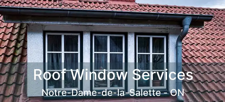  Roof Window Services Notre-Dame-de-la-Salette - ON