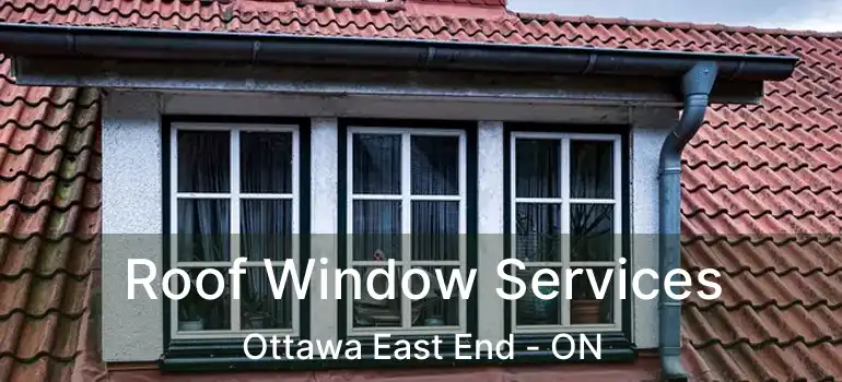  Roof Window Services Ottawa East End - ON