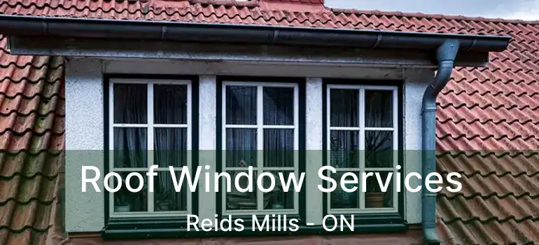  Roof Window Services Reids Mills - ON