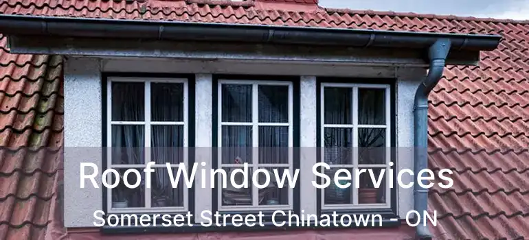  Roof Window Services Somerset Street Chinatown - ON