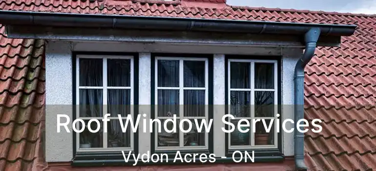  Roof Window Services Vydon Acres - ON