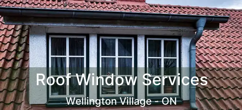  Roof Window Services Wellington Village - ON