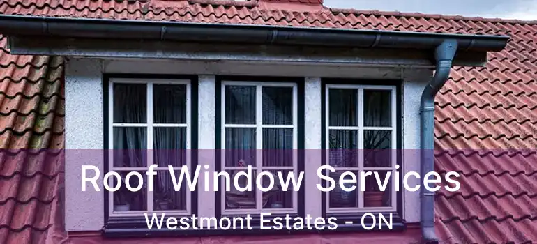  Roof Window Services Westmont Estates - ON