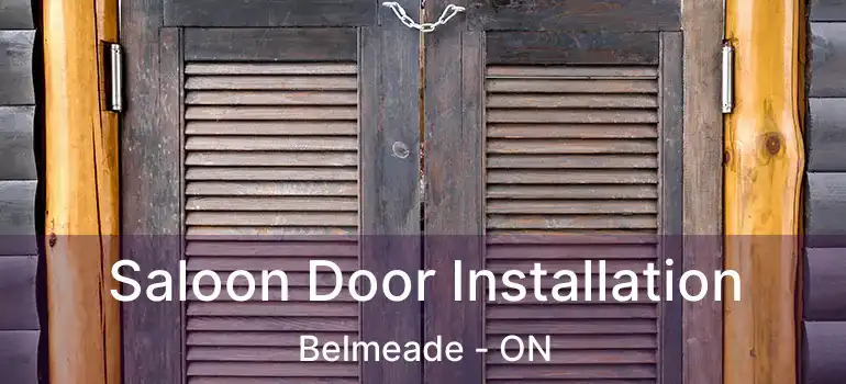  Saloon Door Installation Belmeade - ON