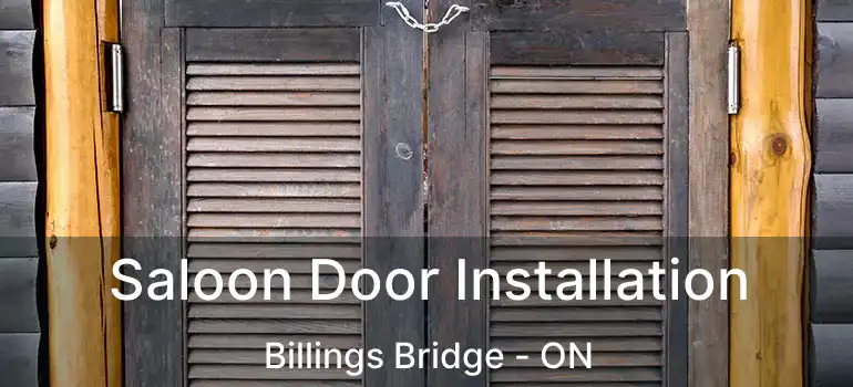  Saloon Door Installation Billings Bridge - ON