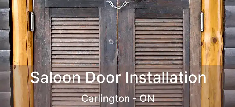  Saloon Door Installation Carlington - ON