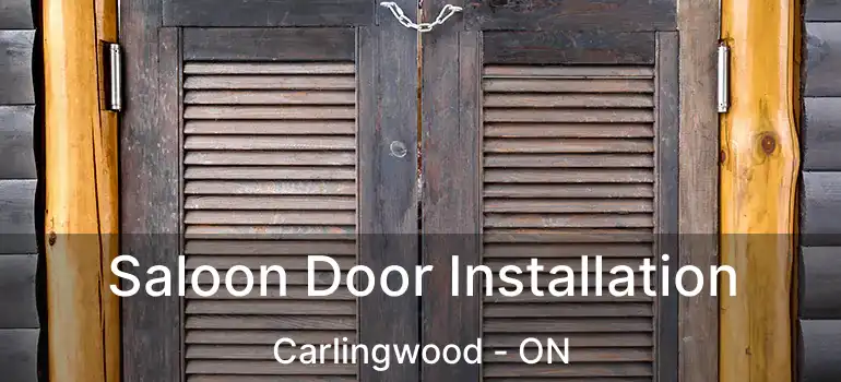  Saloon Door Installation Carlingwood - ON