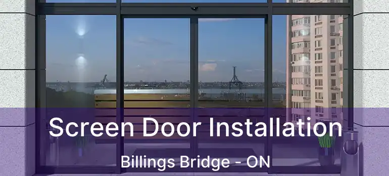  Screen Door Installation Billings Bridge - ON