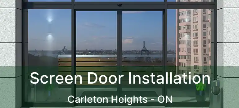  Screen Door Installation Carleton Heights - ON