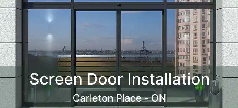  Screen Door Installation Carleton Place - ON