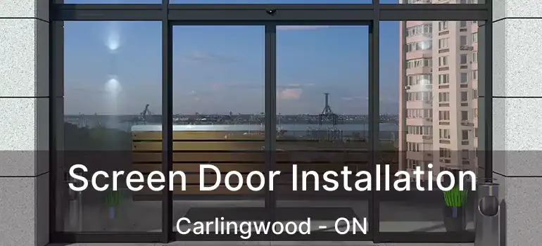  Screen Door Installation Carlingwood - ON