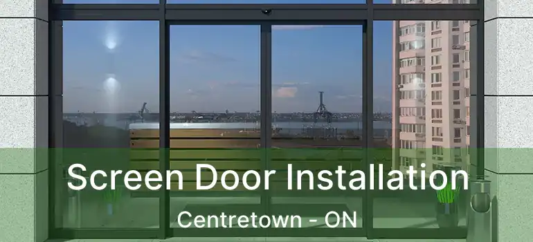  Screen Door Installation Centretown - ON