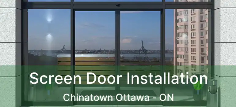  Screen Door Installation Chinatown Ottawa - ON