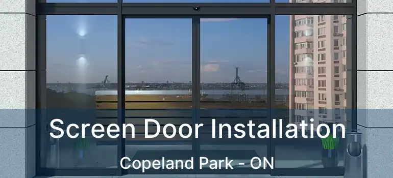  Screen Door Installation Copeland Park - ON