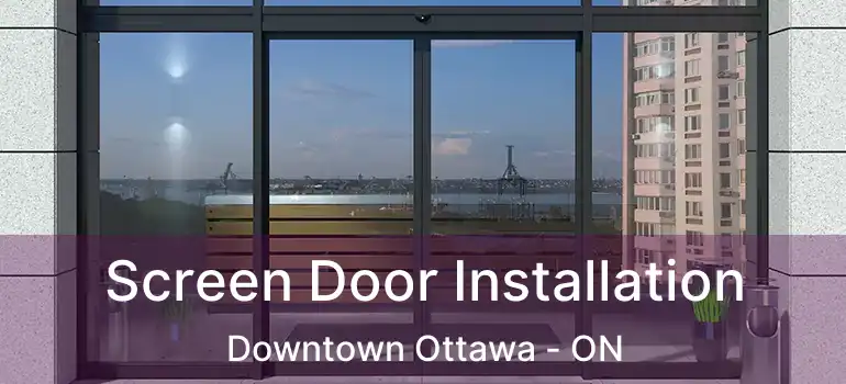  Screen Door Installation Downtown Ottawa - ON