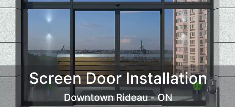  Screen Door Installation Downtown Rideau - ON