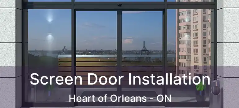  Screen Door Installation Heart of Orleans - ON