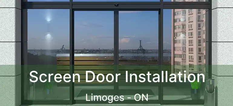  Screen Door Installation Limoges - ON