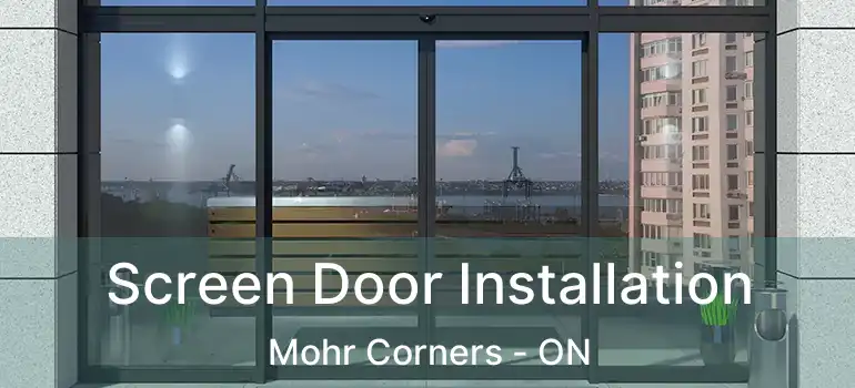  Screen Door Installation Mohr Corners - ON