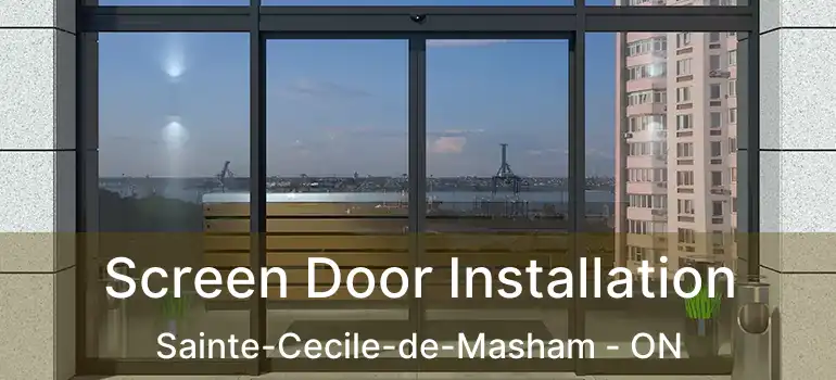  Screen Door Installation Sainte-Cecile-de-Masham - ON