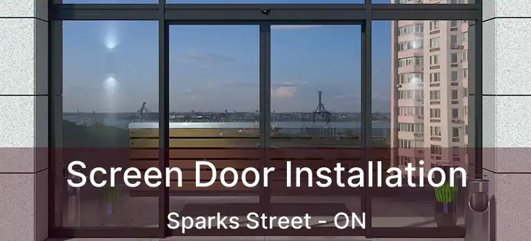  Screen Door Installation Sparks Street - ON