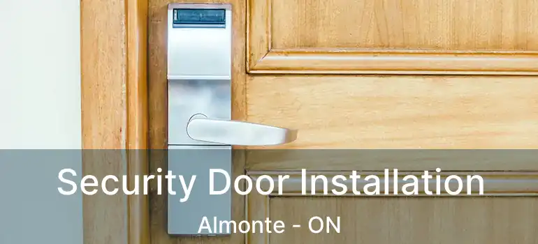  Security Door Installation Almonte - ON