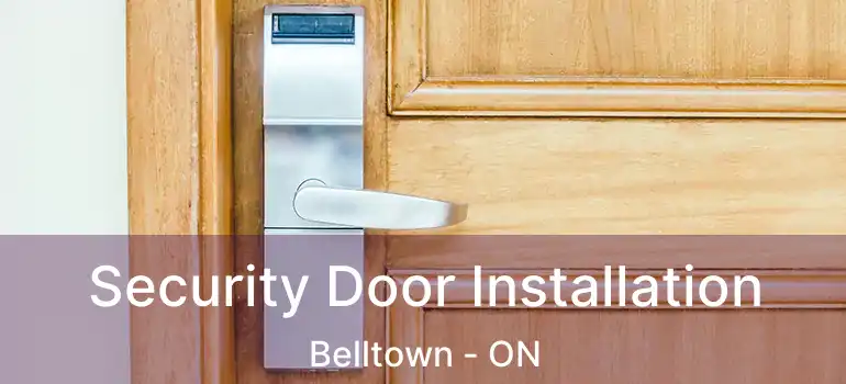  Security Door Installation Belltown - ON