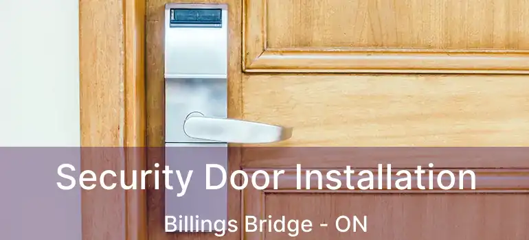  Security Door Installation Billings Bridge - ON