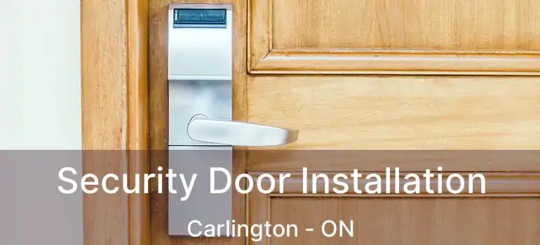  Security Door Installation Carlington - ON