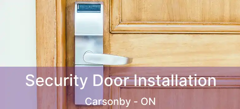  Security Door Installation Carsonby - ON