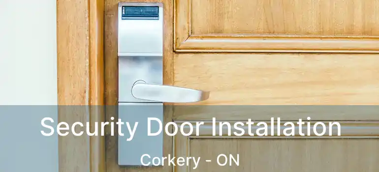  Security Door Installation Corkery - ON