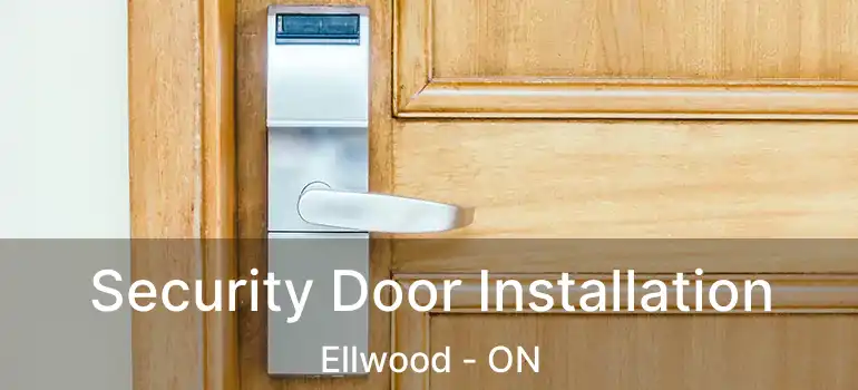  Security Door Installation Ellwood - ON