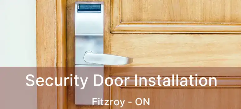  Security Door Installation Fitzroy - ON