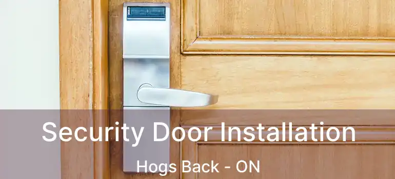  Security Door Installation Hogs Back - ON