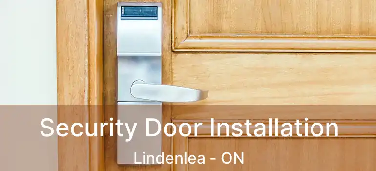  Security Door Installation Lindenlea - ON