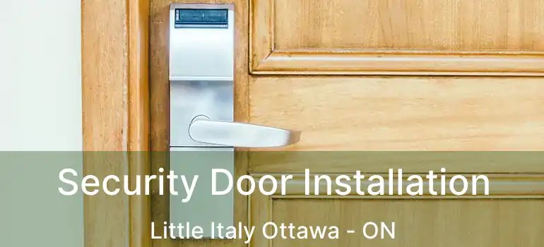  Security Door Installation Little Italy Ottawa - ON