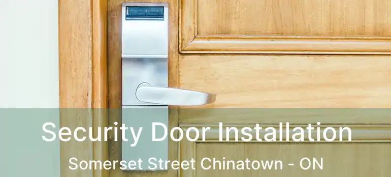  Security Door Installation Somerset Street Chinatown - ON