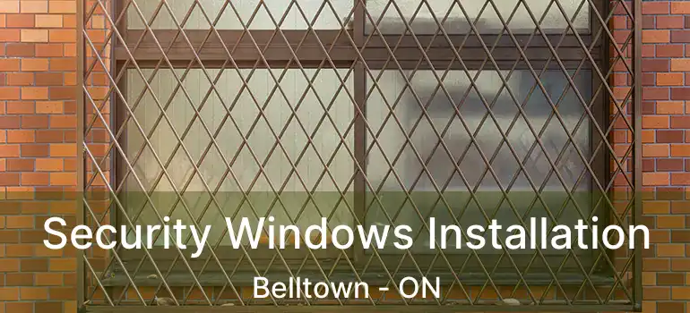  Security Windows Installation Belltown - ON