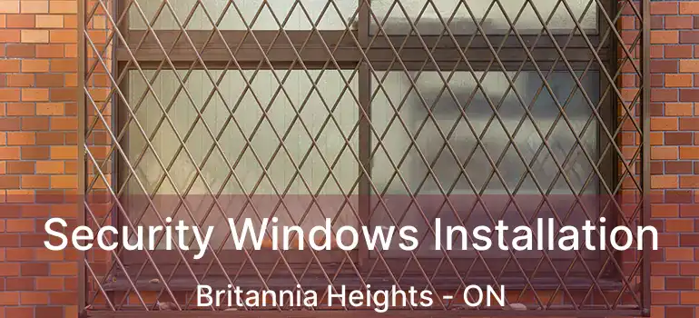  Security Windows Installation Britannia Heights - ON