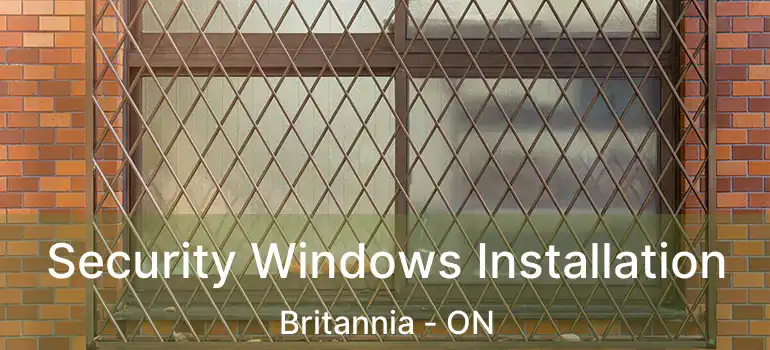  Security Windows Installation Britannia - ON