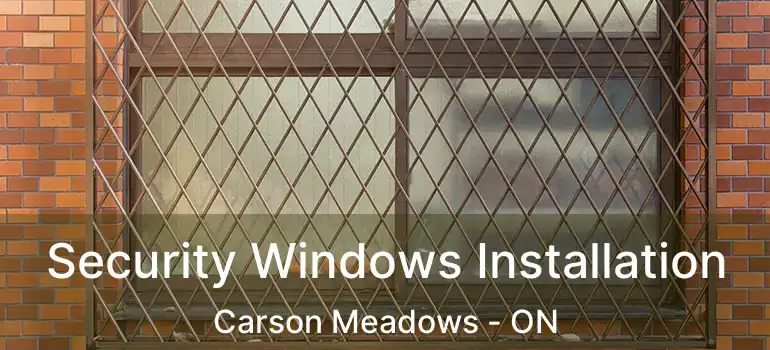  Security Windows Installation Carson Meadows - ON