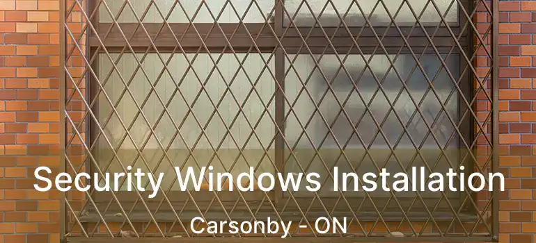  Security Windows Installation Carsonby - ON