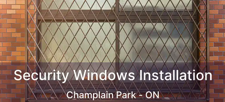  Security Windows Installation Champlain Park - ON