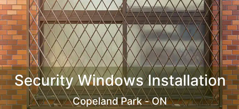  Security Windows Installation Copeland Park - ON