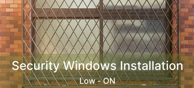  Security Windows Installation Low - ON