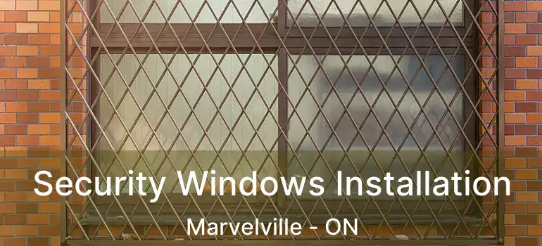  Security Windows Installation Marvelville - ON