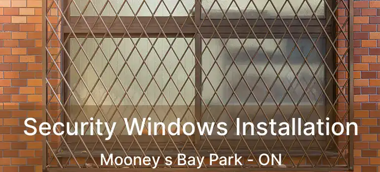  Security Windows Installation Mooney s Bay Park - ON