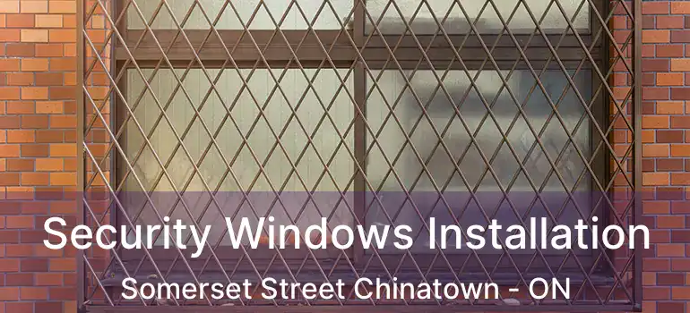  Security Windows Installation Somerset Street Chinatown - ON