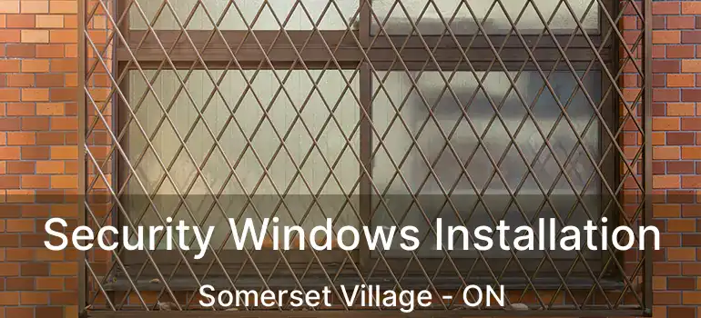  Security Windows Installation Somerset Village - ON