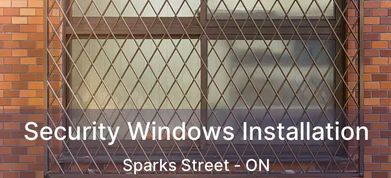  Security Windows Installation Sparks Street - ON